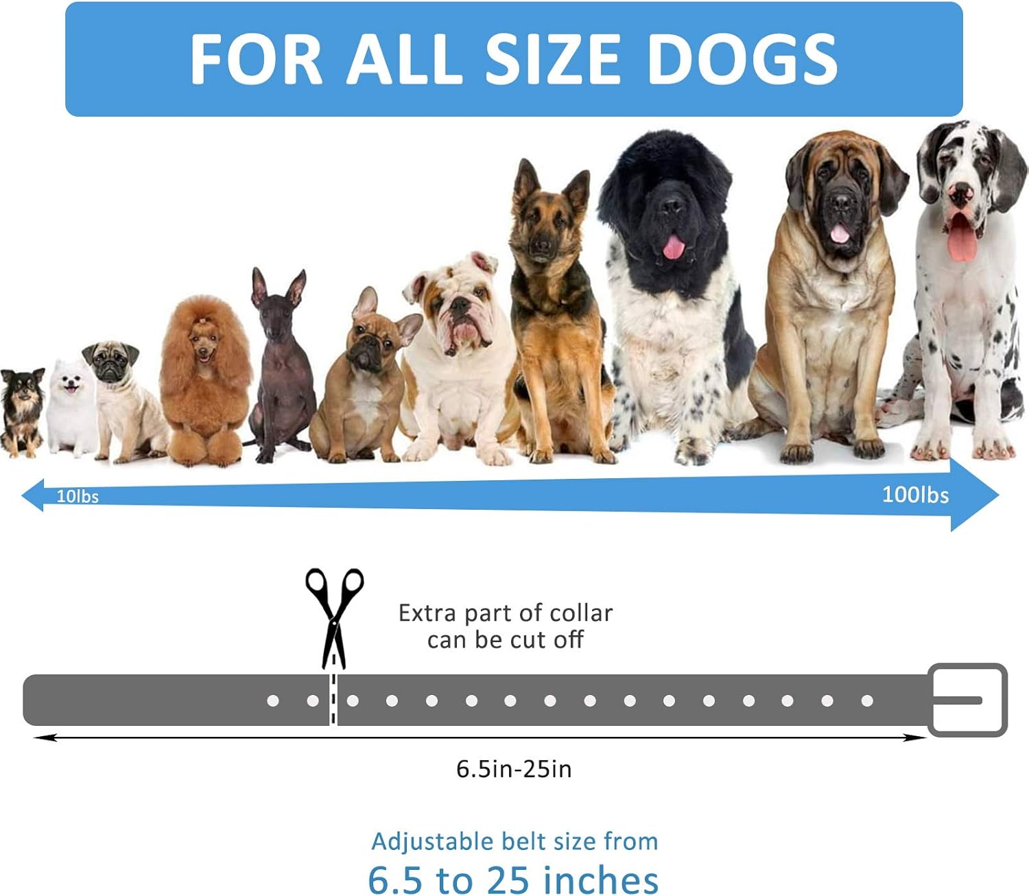 Replacement Collar Strap, Compatible with Petsafe,PATPET,Sportdog,Garmin,Dogtra,etc Most Training Collar/Fence Reciever, 3/4',Adjustable,Metal Buckled,Waterproof (Black Pack2)